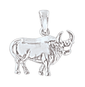 Anhänger Sternzeichen Stier