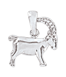 Anhänger Sternzeichen Steinbock 2