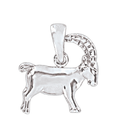 Anhänger Sternzeichen Steinbock