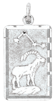 Anhänger Sternzeichen Steinbock