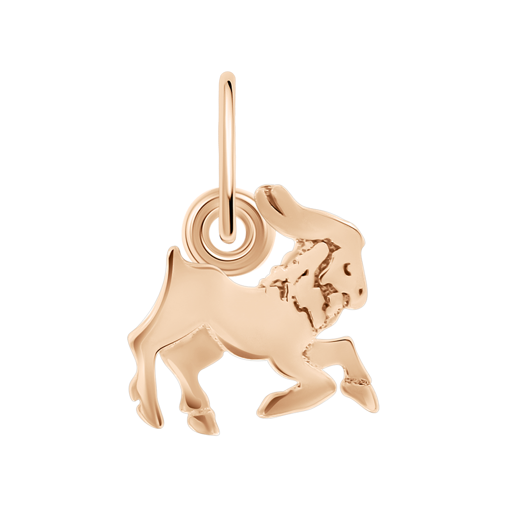 Anhänger Sternzeichen Steinbock