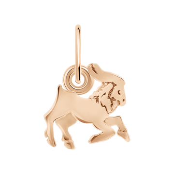 Anhänger Sternzeichen Steinbock