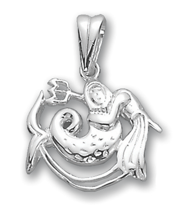 Anhänger Sternzeichen Wassermann